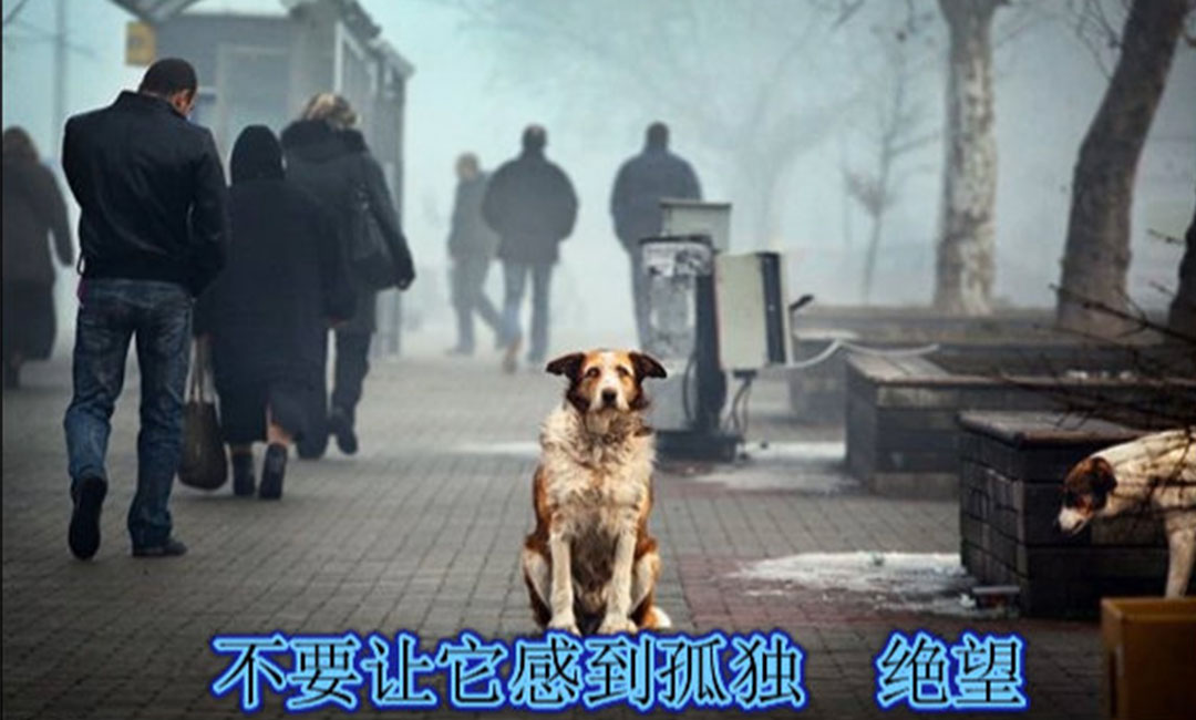 临沂临沂爱影圈微博微信转发案例